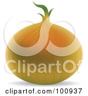 Royalty Free RF Clipart Illustration Of A 3d Realistic Yellow Onion by cidepix