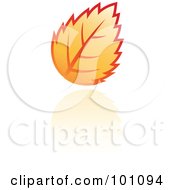 Orange Autumn Leaf Logo Icon - 6