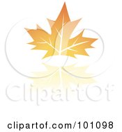 Orange Autumn Leaf Logo Icon - 2