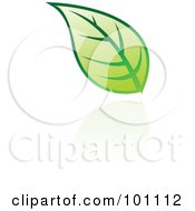 Royalty Free RF Clipart Illustration Of A Green Leaf Logo Icon 8 by cidepix