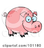 Poster, Art Print Of Happy Smiling Pink Pig With Spots