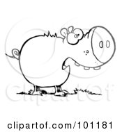 Royalty Free RF Clipart Illustration Of A Coloring Page Outline Of A Chubby Pig Eating Grass Scared Pig With An Open Mouth