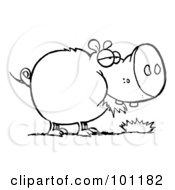 Royalty Free RF Clipart Illustration Of A Coloring Page Outline Of A Chubby Pig Eating Grass