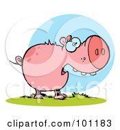 Royalty Free RF Clipart Illustration Of A Scared Pink Pig With An Open Mouth