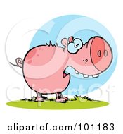 Poster, Art Print Of Scared Pink Pig With An Open Mouth