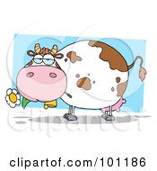 Poster, Art Print Of Chubby Dairy Cow Chewing On A Flower