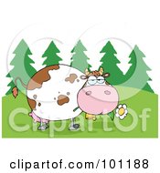 Poster, Art Print Of Fat Cow Eating Flowers Near Woods