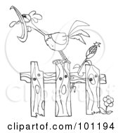 Royalty Free RF Clipart Illustration Of A Coloring Page Outline Of A Loud Rooster Crowing On A Fence By A Corn Stalk