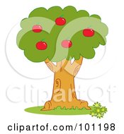 Red Apples On An Orchard Tree