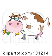 Poster, Art Print Of Chubby Dairy Cow Snacking On A Flower