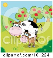 Poster, Art Print Of Baby And Mommy Cow In A Pasture Near An Orchard
