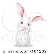 Poster, Art Print Of Curious White Rabbit Up On His Hind Legs His Head Cocked To The Side