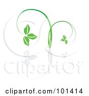 Poster, Art Print Of Seedling Plant With A Reflection On White - 1