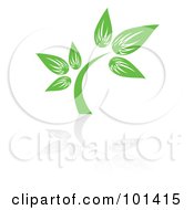 Poster, Art Print Of Seedling Plant With A Reflection On White - 2