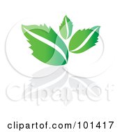 Poster, Art Print Of Seedling Plant With A Reflection On White - 4