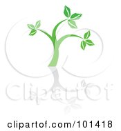 Royalty Free RF Clipart Illustration Of A Seedling Plant With A Reflection On White 5 by MilsiArt #COLLC101418-0110
