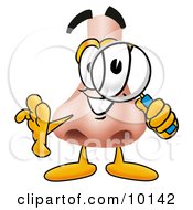Clipart Picture Of A Nose Mascot Cartoon Character Looking Through A Magnifying Glass