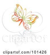 Poster, Art Print Of Colorful Butterfly With A Reflection On White