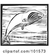Royalty Free RF Clipart Illustration Of A Black And White Engraved Bowhead Whale Balaena Mysticetus by xunantunich