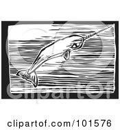 Poster, Art Print Of Black And White Engraved Narwal Whale Monodon Monoceros