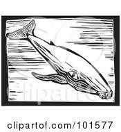 Poster, Art Print Of Black And White Engraved Humpback Whale Megaptera Novaeangliae