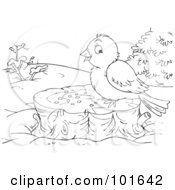 Poster, Art Print Of Coloring Page Outline Of A Bird On A Stump