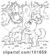 Royalty Free RF Clipart Illustration Of A Coloring Page Outline Of A Dog Barking Up A Tree At A Squirrel