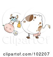Poster, Art Print Of White And Brown Cow Eating A Daisy