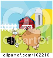 Poster, Art Print Of Spotted Brown Cow Eating A Daisy Near A Barn And Silo
