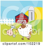 Poster, Art Print Of Spotted White Cow Eating A Daisy Near A Barn And Silo