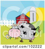 Poster, Art Print Of Chubby Gray Cow Eating A Daisy By A Silo And Barn