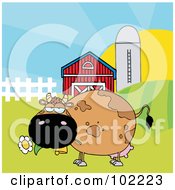 Poster, Art Print Of Chubby Brown Cow Eating A Daisy By A Silo And Barn