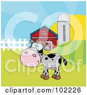 Poster, Art Print Of Spotted Gray Calf In A Pasture By A Barn And Silo