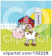 Poster, Art Print Of Spotted White Calf In A Pasture By A Barn And Silo