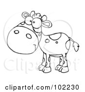 Poster, Art Print Of Outlined Baby Cow