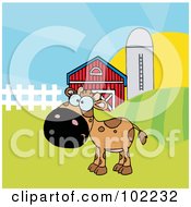 Poster, Art Print Of Spotted Brown Calf In A Pasture By A Barn And Silo