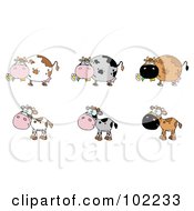 Royalty Free RF Clipart Illustration Of A Digital Collage Of Six Cows 2
