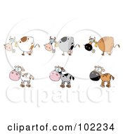 Royalty Free RF Clipart Illustration Of A Digital Collage Of Six Cows 1