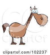 Poster, Art Print Of Short Brown Horse With A Long Neck