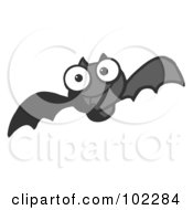 Poster, Art Print Of Flying Black Vampire Bat