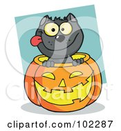 Royalty Free RF Clipart Illustration Of A Happy Black Cat In A Pumpkin