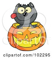 Royalty Free RF Clipart Illustration Of A Happy Cat In A Pumpkin