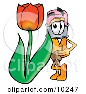 Pencil Mascot Cartoon Character With A Red Tulip Flower In The Spring