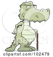 Old Alligator Using A Cane