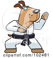 Black Belt Karate Dog