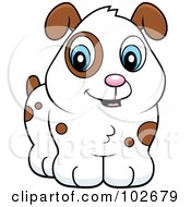 Poster, Art Print Of Cute White Puppy Dog With Brown Spots