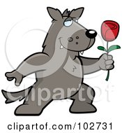 Poster, Art Print Of Romantic Wolf Holding Out A Rose