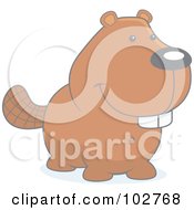 Royalty Free RF Clipart Illustration Of A Faded Beaver Smiling