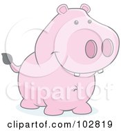 Poster, Art Print Of Faded Pig Smiling