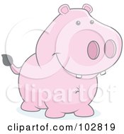 Royalty Free RF Clipart Illustration Of A Faded Pig Smiling